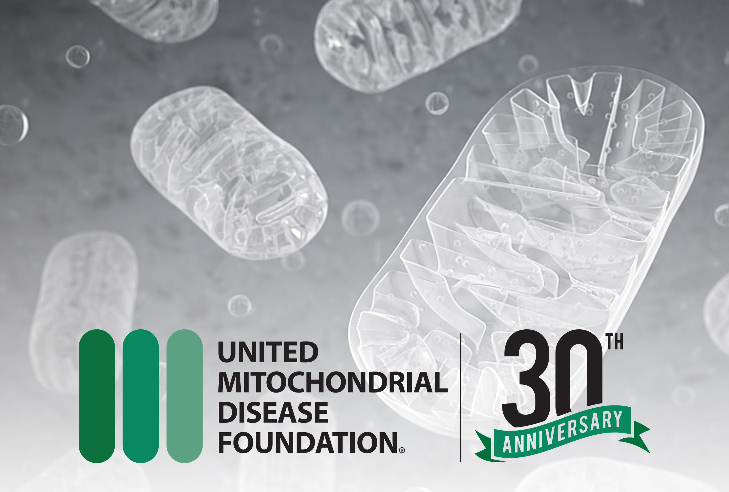 United Mitochondrial Disease Foundation